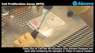 Cell Proliferation Assay MTS [upl. by Ahsiekat]