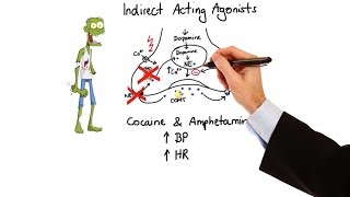 Pharmacology  ADRENERGIC RECEPTORS amp AGONISTS MADE EASY [upl. by Nimoynib140]