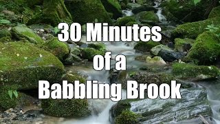 💦 30 Minutes of a Babbling Brook  Relaxing Sound for Studying or Sleep [upl. by Ahto]