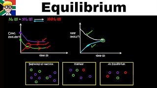 Equilibrium Graphs grade 12 Introduction [upl. by Kralc]