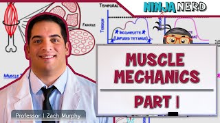 Musculoskeletal System  Muscle Mechanics  Twitch Summation amp Tetanus [upl. by Serolod277]