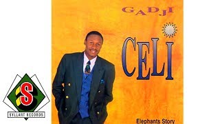 Gadji Celi  Victoire des éléphants audio [upl. by Ayanad]