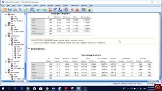 SPSS 7 Descriptive Statistics  Mean Range Standard Deviation Skewness Kurtosis [upl. by Aihtenak]