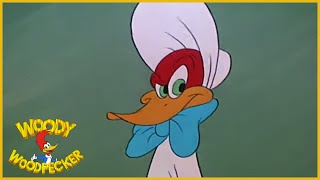 Woody Woodpecker  WackyBye Baby  Full Episodes [upl. by Esihcoc706]