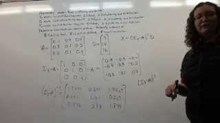 Leontif Input Output Economic Model [upl. by Rolo]