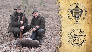 Muzzleloading hunt in Gyulaj using a Pedersoli Missouri River Hawken rifle [upl. by Abocaj]