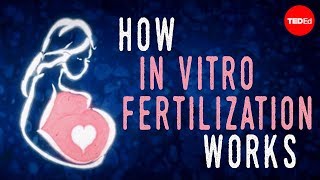 How in vitro fertilization IVF works  Nassim Assefi and Brian A Levine [upl. by Moffit]