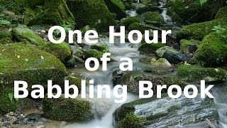 1 Hour of a Babbling Brook 💦 Sleep Sounds [upl. by Naiva888]