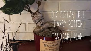 DIY Dollar Tree Harry Potter Mandrake Plant Fourth in the Series [upl. by Leraj]