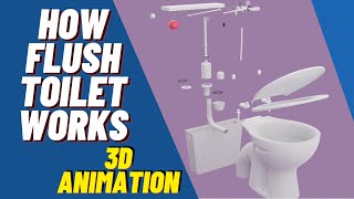 How Flush Toilet Works  3D Animation  Siphon [upl. by Aehsrop273]