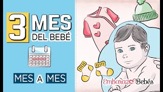 📆👶🏻 TERCER MES del bebé  3 MES  Desarrollo y cuidados [upl. by Garlaand]