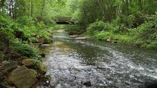 10 hours Babbling Brook Sounds Of Nature no ads ASMR forest water flowing [upl. by Buffo]