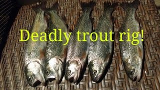 Best rainbow trout rig and power bait [upl. by Ahsikrats]