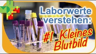 Blutbildung und Stammzellen  Krankheit verstehen [upl. by Stephana]