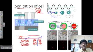 Sonication process [upl. by Ner]