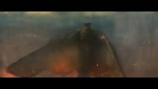 Mothra vs Rodan  Godzilla King of the Monsters [upl. by Warp297]