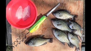 How To The QUICKEST Way To Fillet CRAPPIE [upl. by Talie593]