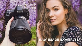 Sigma 85mm 14 ART Review vs Canon 85mm f12L II [upl. by Zumstein825]