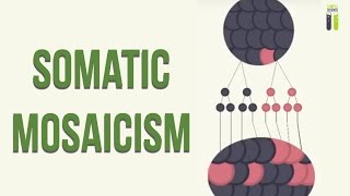 Mosaicisms  Part 2  Somatic Mosaicism [upl. by Anerom]