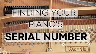 Where to Find a Piano Serial Number In Just a few steps [upl. by Suoivatnod]