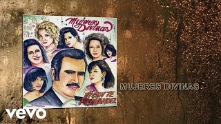 Vicente Fernández  Mujeres Divinas Cover Audio [upl. by Atnohs]