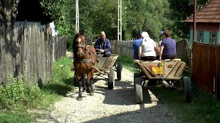 Romania Village Life in Transylvania [upl. by Attener]