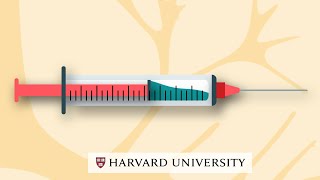 How mRNA vaccines work [upl. by Ahsekal]