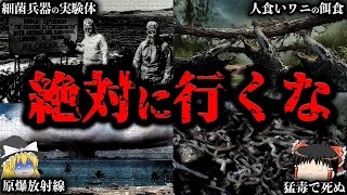 【ゆっくり解説】生存率0％…絶対に行ってはいけない危険な島１０選 [upl. by Inilam]