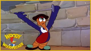 Woody Woodpecker  Hollywood Matador  Full Episodes [upl. by Atilrep475]