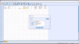 Entering Likert Scale Data into SPSS [upl. by Ajtak608]