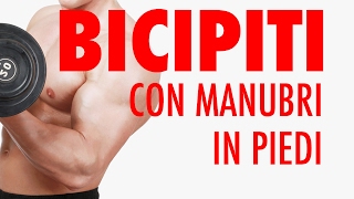 BICIPITI 💪 CON MANUBRI LA TECNICA 👌 CORRETTA  TUTORIAL [upl. by Aniret958]