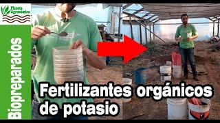 FERTILIZANTES ORGÁNICOS 🍌🍌 de POTASIO para la huerta AGROECOLÓGICA [upl. by Anitnauq]