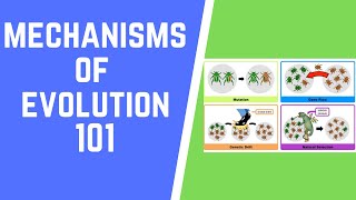 Mechanisms of Evolution 101 [upl. by Anen]