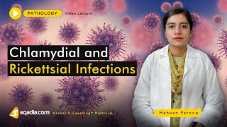 Chlamydial and Rickettsial Infections  Medical School  Pathology Lectures  VLearning [upl. by Llednav566]