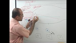 Inflammation  Vascular Events  Immunology  Dr Najeeb [upl. by Renaxela711]