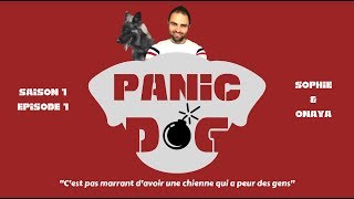 PANIC DOG  S1 Ep1  Phobie humaine [upl. by Nolyad]