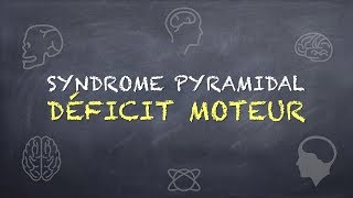 Syndrome Pyramidal  Déficit Moteur [upl. by Fransen]