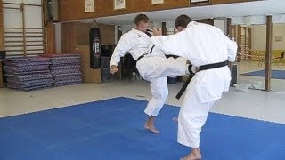 KARATE  Tiger Karate  Shotokan and mix of martial arts [upl. by Erv81]