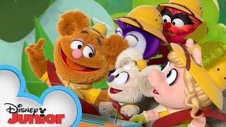 Muppet Babies  Jokes  The Fozzie Bear Show  Disney Kids [upl. by Lassiter]