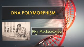 DNA Polymorphisms and its classifications [upl. by Eicyak]