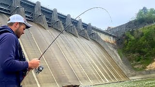 Fishing Below a Massive Dam For Anything That Will Bite [upl. by Vine]