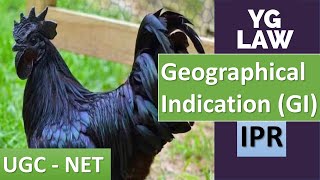 Protection of Geographical Indications  YG Law [upl. by Ignatia]