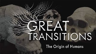 Great Transitions The Origin of Humans — HHMI BioInteractive Video [upl. by Crispin]