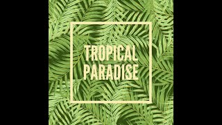 TROPICAL Tech House ALVES [upl. by Hibbs534]