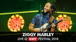 EXIT 2018  Ziggy Marley Live  Main Stage FULL SHOW [upl. by Morrissey]