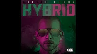 Collie Buddz  Everything Blessed feat Tech N9ne [upl. by Trudey]