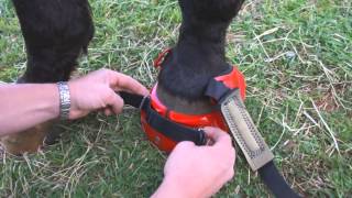 Installing amp Removing a Renegade Hoof Boot [upl. by Nevla]