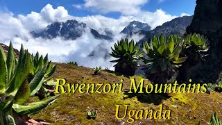 Rwenzori Mountains of Uganda 8 Day Trek to Margherita Peak [upl. by Ardnuassak211]