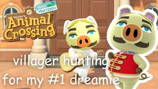 villager hunting for my ULTIMATE dreamie [upl. by Antebi]