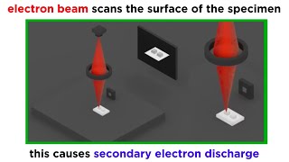 Electron Microscopy TEM and SEM [upl. by Aruabea]